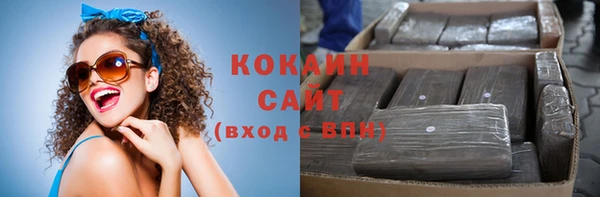 стаф Кукмор