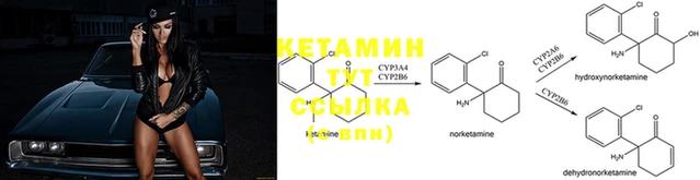 каннабис Лабытнанги