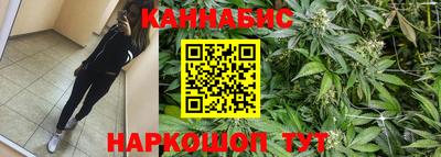 каннабис Аргун