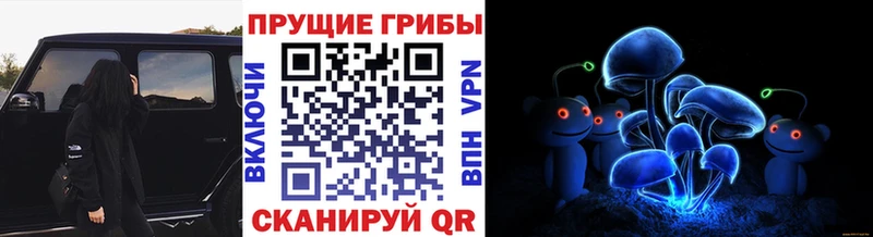 Галлюциногенные грибы Magic Shrooms  KRAKEN онион  Бахчисарай 