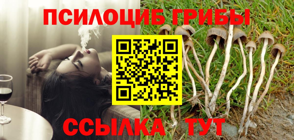 Галлюциногенные грибы Psilocybine cubensis Бахчисарай