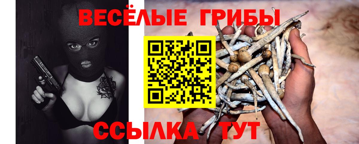 Псилоцибиновые грибы мухоморы  Галлюциногенные грибы Magic Shrooms  где продают наркотики  Бахчисарай 